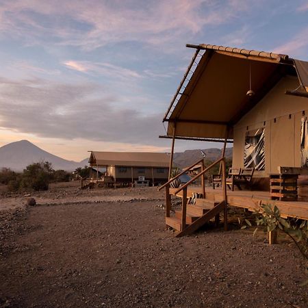 Africa Safari Lake Natron Mtowabaga Luaran gambar