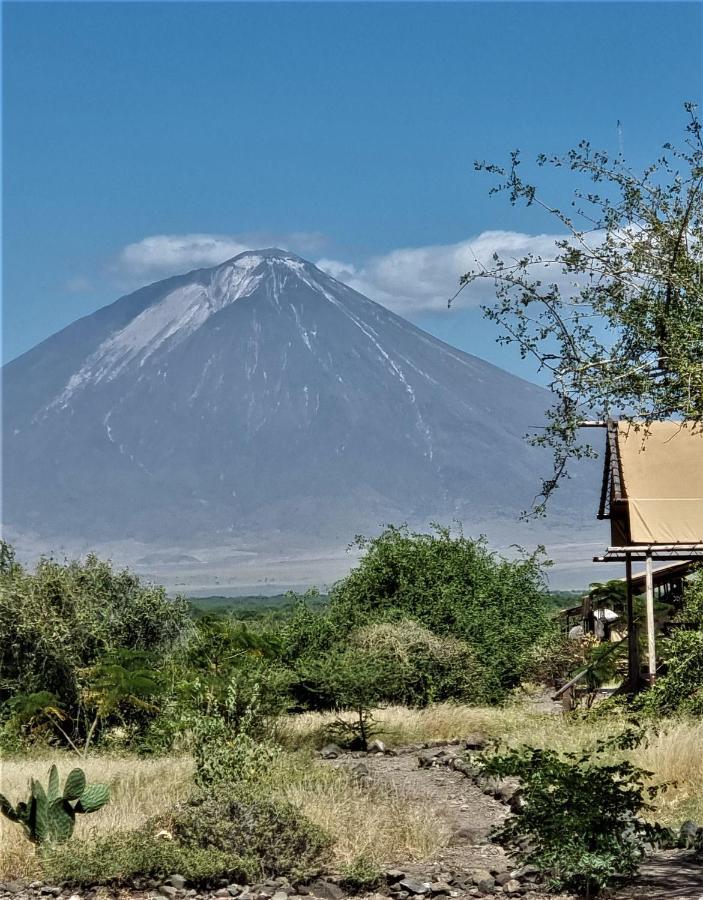 Africa Safari Lake Natron Mtowabaga Luaran gambar